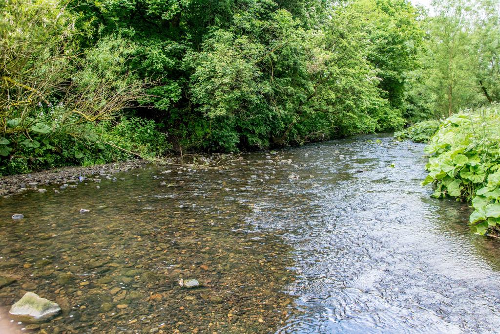 CPL filter, before and after.