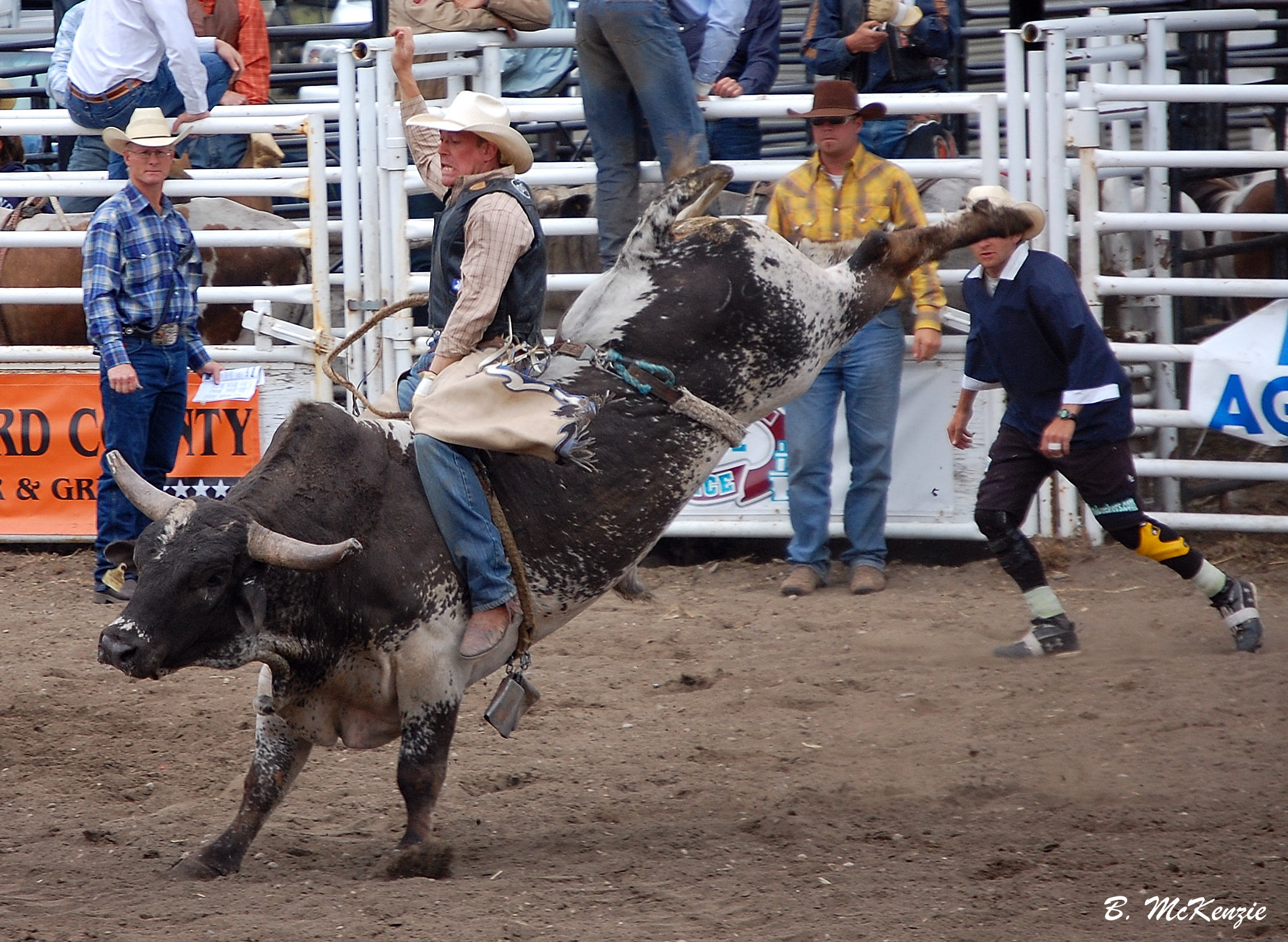 Bull Rider