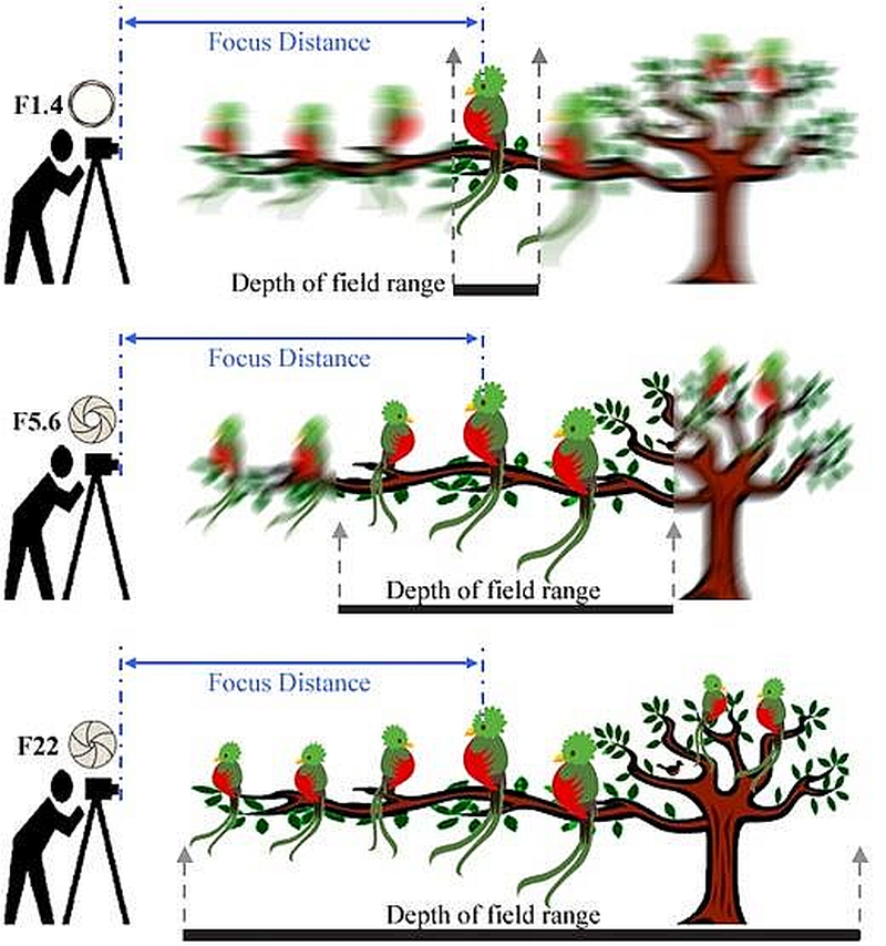 Focusing Distance & DOF