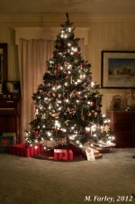 Christmas Tree Web File.jpg