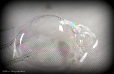 Bubbles 1.jpg