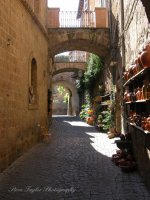 Orvieto Italy Gateway.jpg