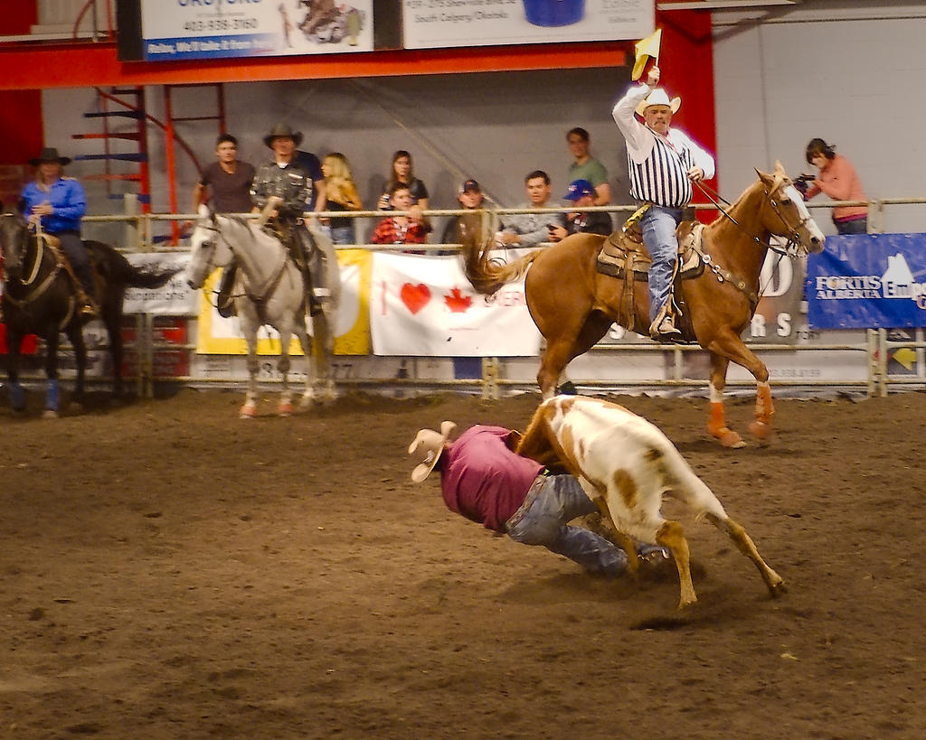What Is The Largest Indoor Rodeo In The World? – NFHQWP