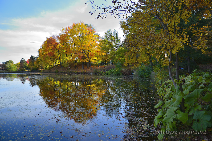 Étang Parc Howard.jpg