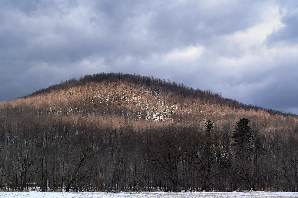 éclaircie d'hiver.jpg