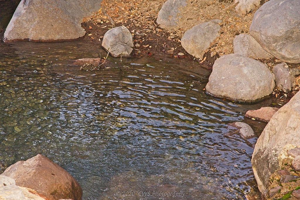 01-28-20-cr-_7501029-ON1.jpg