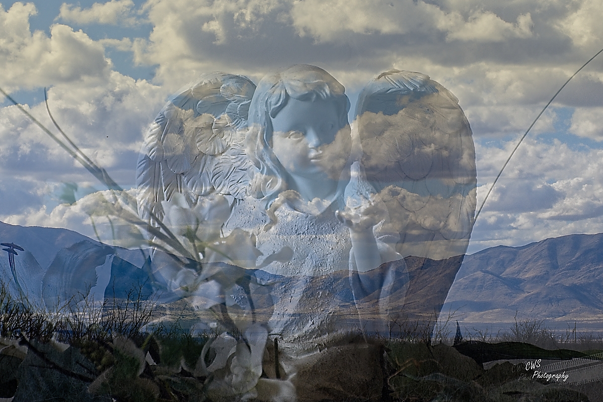 02-01-23_d503199-171751-nikon-d500_cr_-on1-jpg.387751