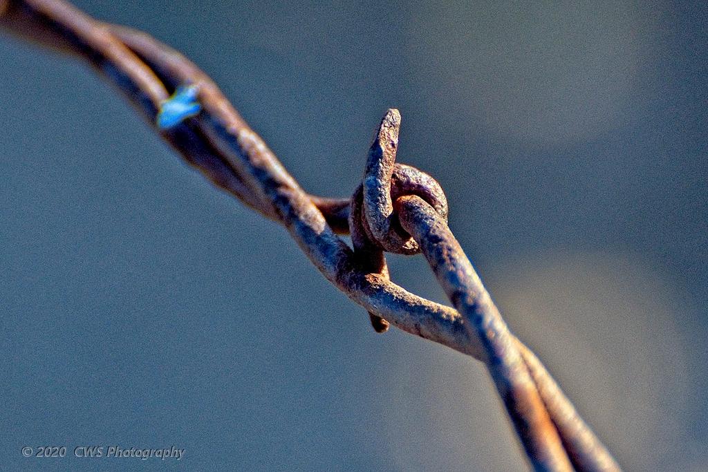 02-02-20-cr-_D7K1622-ON1.jpg