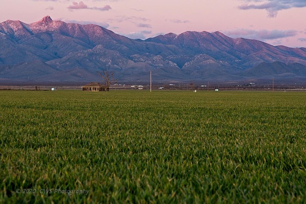 02-12-20-cr-_7501128-ON1.jpg