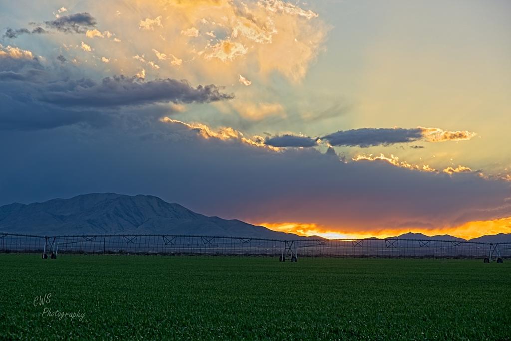 02-17-21-cr__7503955_HDR-ON1.jpg