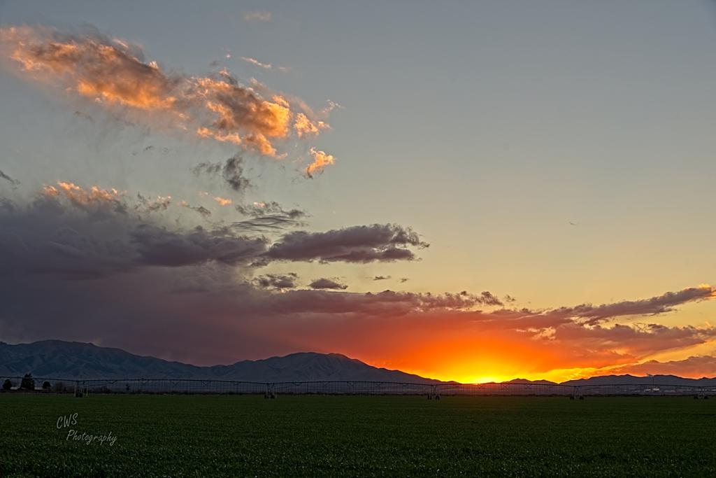02-17-21-cr__7503977_HDR-ON1.jpg