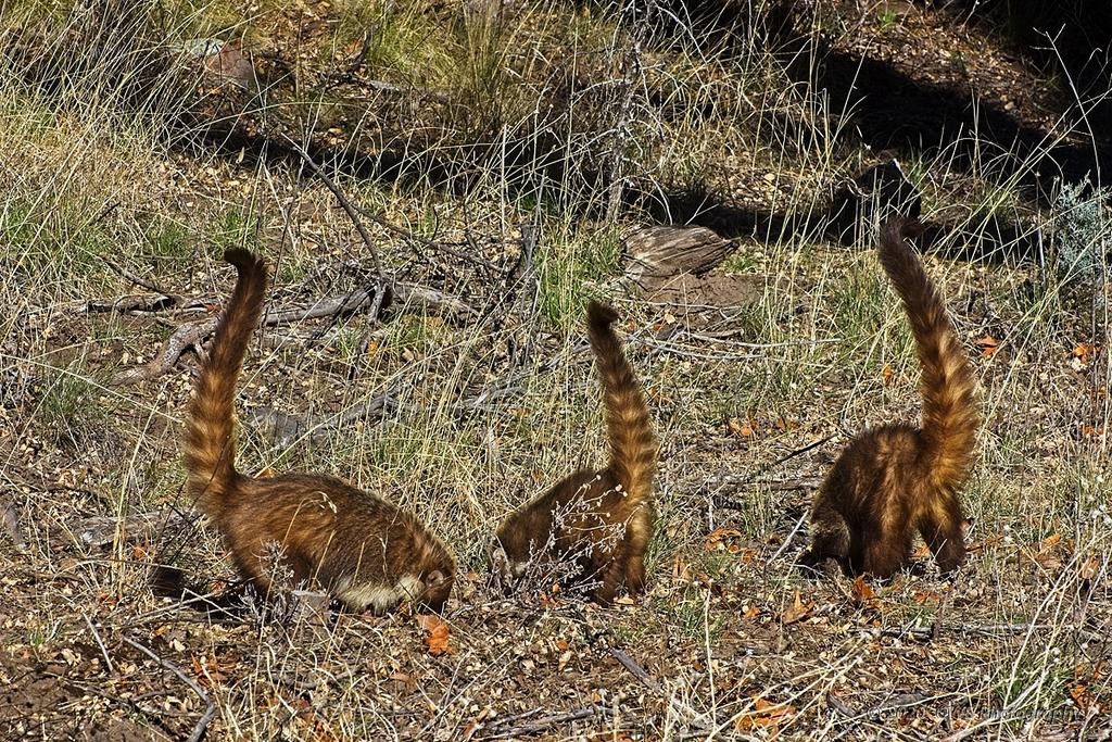 02-18-20-cr-_D7K1696-ON1.jpg