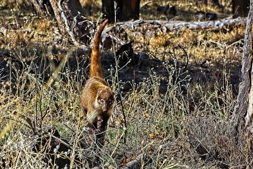 02-18-20-cr-_D7K1705-ON1.jpg