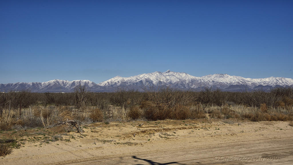 02-23-19-cr__7509052.jpg