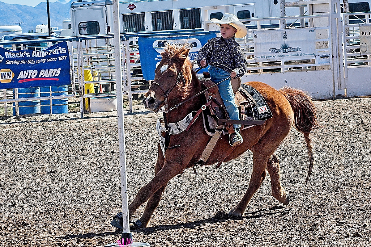 03-05-23_D503673-120554-NIKON D500CR- -ON1.jpg