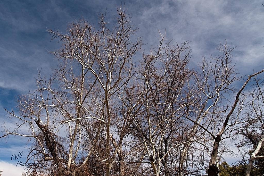 03-07-2021-CR-_7504148-ON1.jpg