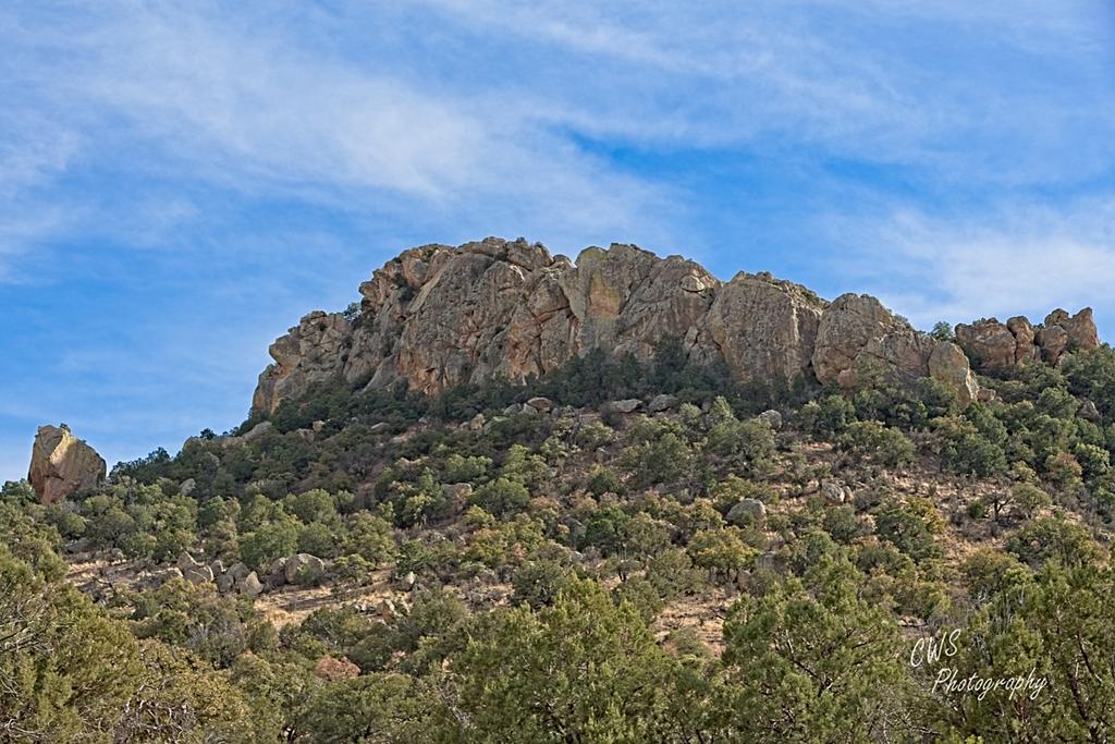 03-07-2021-CR-_7504158_HDR-ON1.jpg