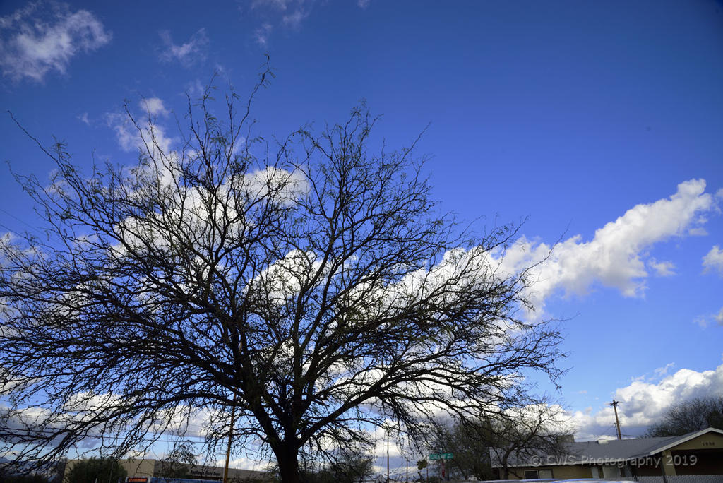 03-13-19-cr__7509119.jpg