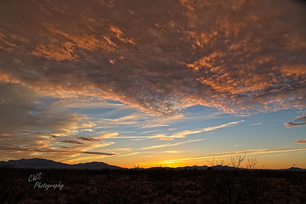 03-15-21-CR-_7504213_HDR-ON1-1.jpg