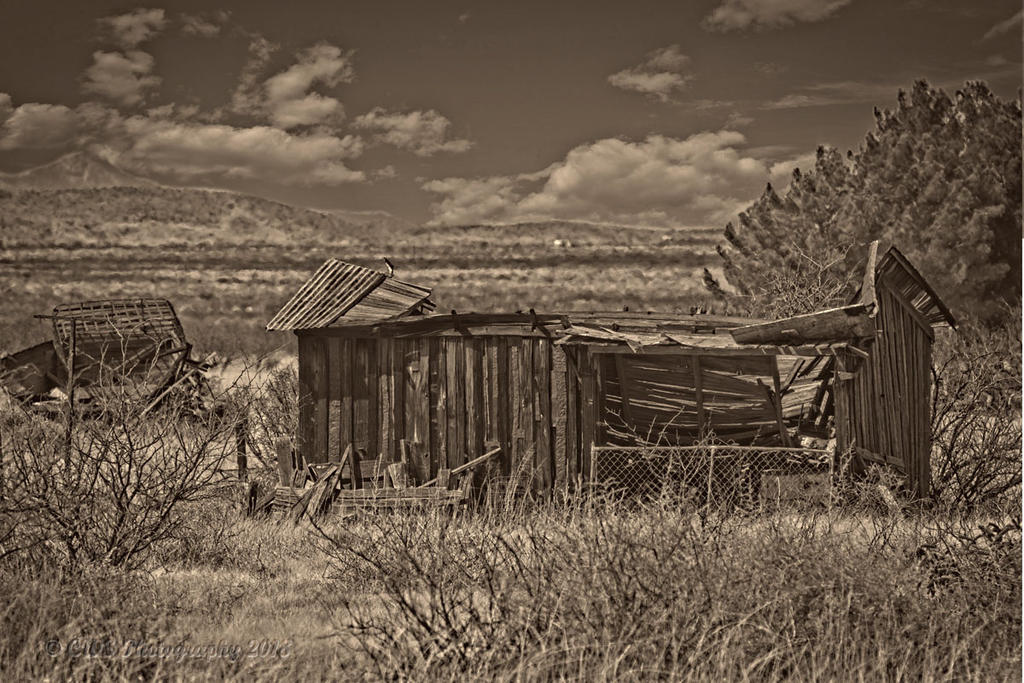 03-21-18_D7K8723-cr-copyBW-ON1.jpg