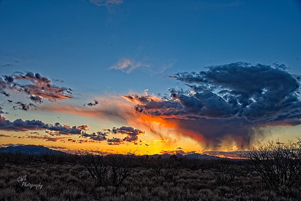 03-24-21-CR-_7504281_HDR-ON1.jpg