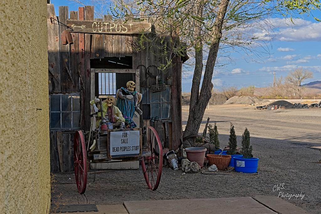 03-26-21-CR-_7504320_HDR-ON1 4x5 crop.jpg