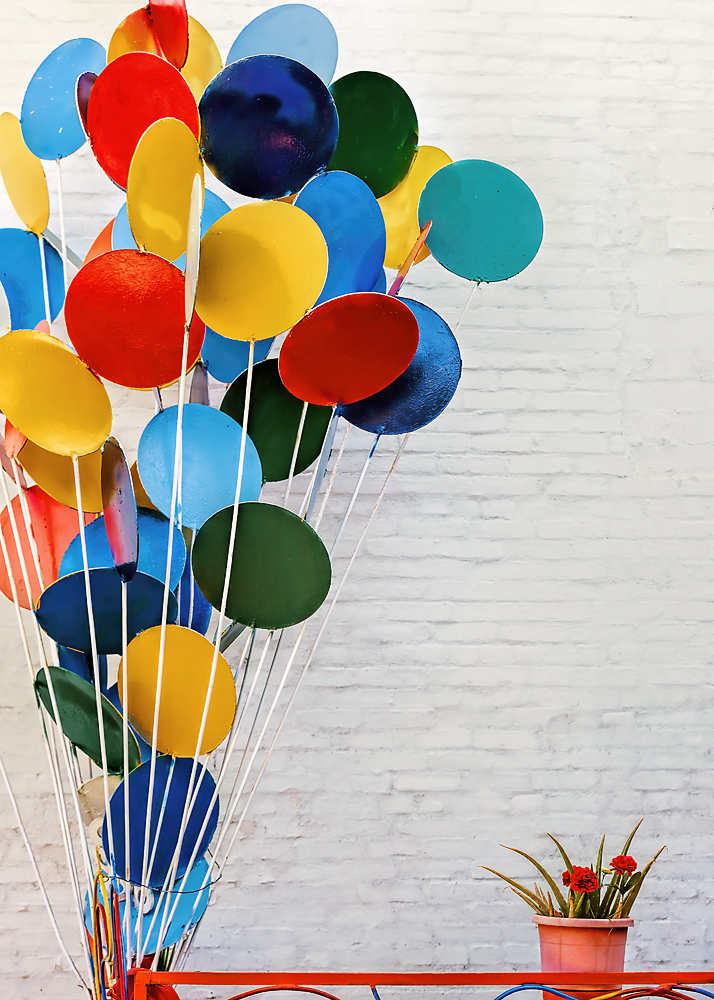 03 April 2016 - Balloon Sculpture Garden.jpg