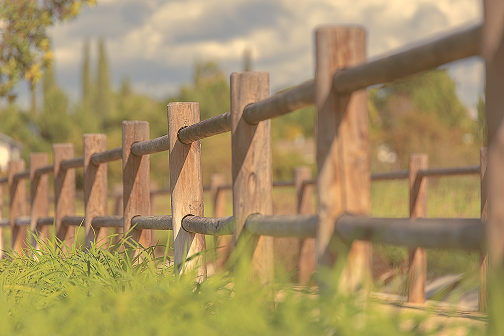 03 March 2015 - Mending Fences.jpg