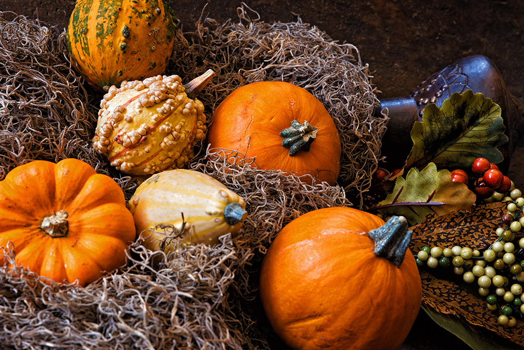 03 October 2015 (3) - Delightfully Seasonal.jpg