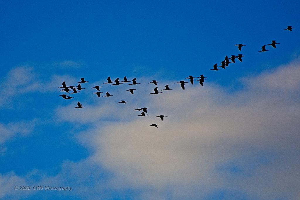 04-18-20-cr_D7K2405-ON1.jpg