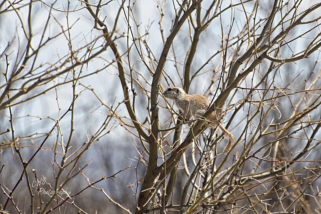 04-19-21-CR_D500541-ON1.jpg