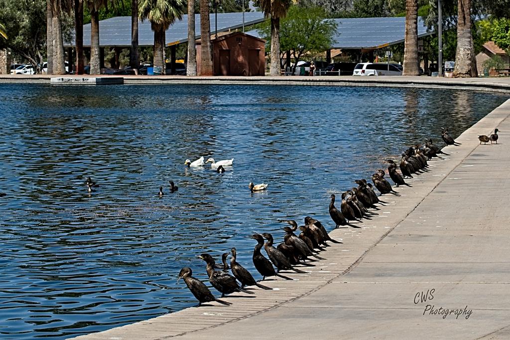 04-21-21-CR_D500568-ON1.jpg