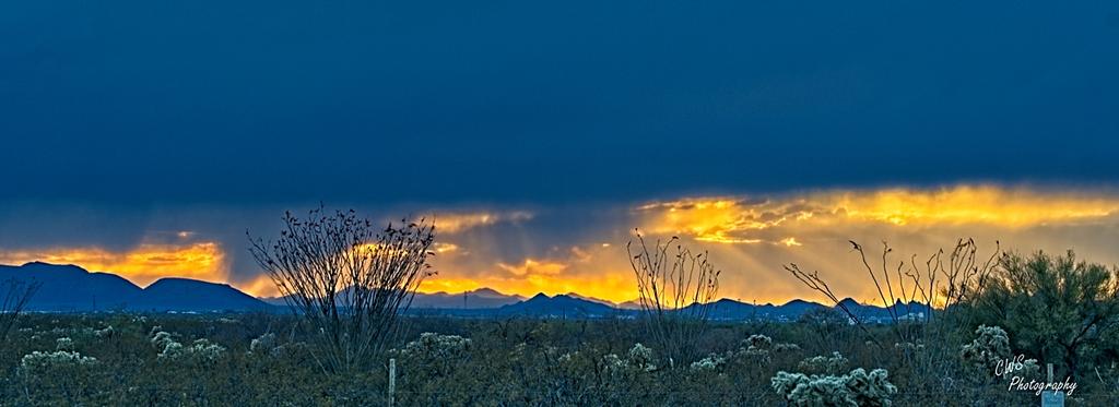 04-27-21-CR_D500663_HDR-ON1-RD.jpg