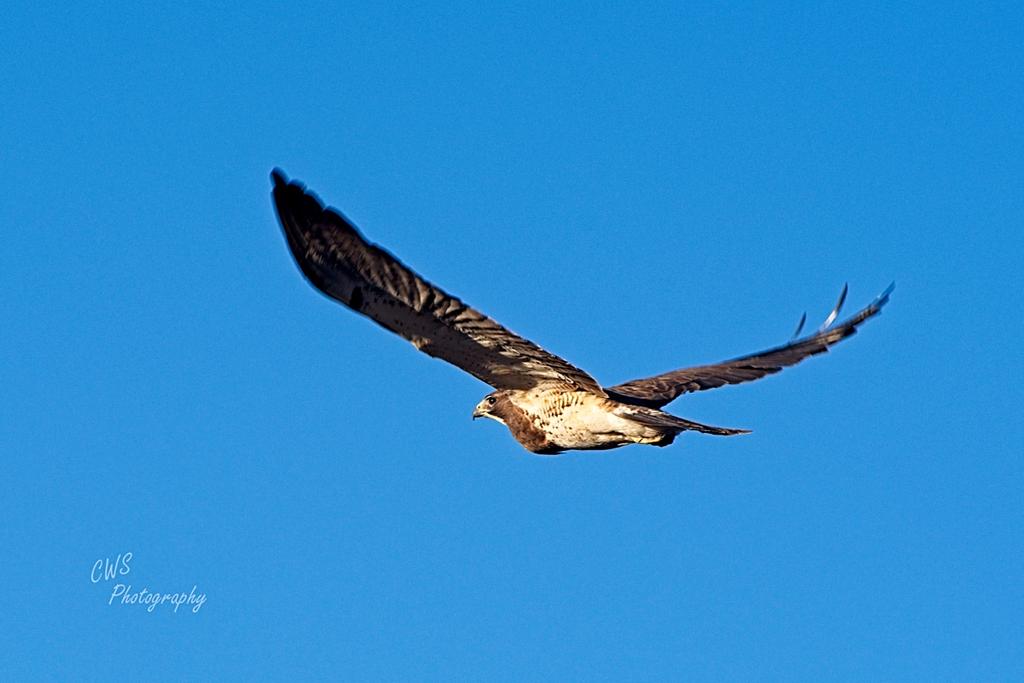 04-29-21-CR_D500694-ON1-RD.jpg