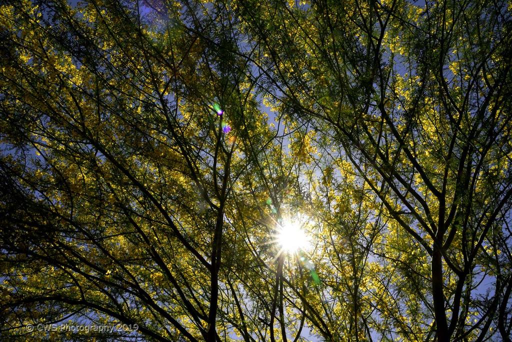 04-30-19-cr__7509498.jpg