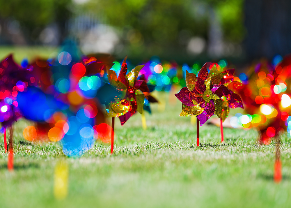 04 April 2016 - Pinwheel Forest.jpg