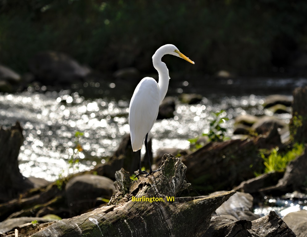 04 April (Medium).jpg