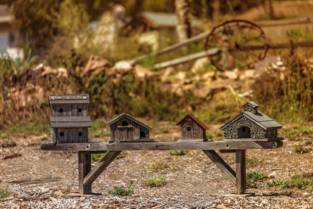 04 June 2015 - Low Rent District.jpg