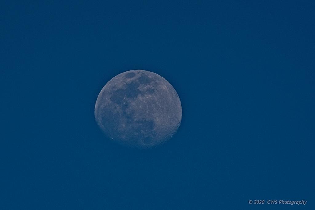 05-04-20-cr_D7K2650-ON1.jpg