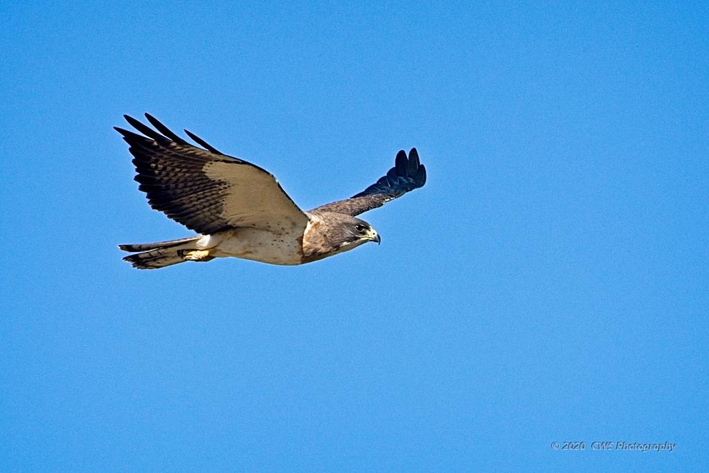 05-24-20-cr_D7K2821-ON1.jpg