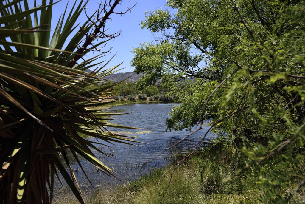 05-25-19-cr__7509627.jpg