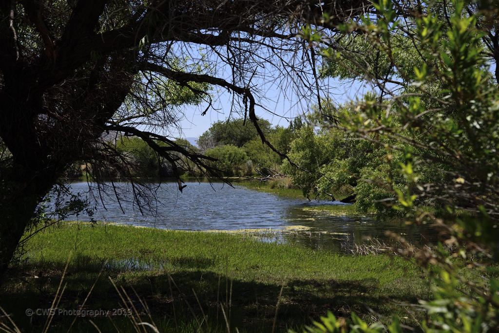 05-25-19-cr__7509628.jpg