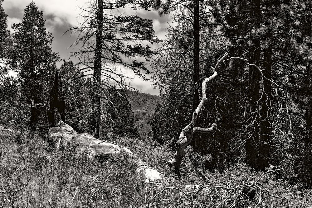 05 June 2015 - Darkscape #1.jpg