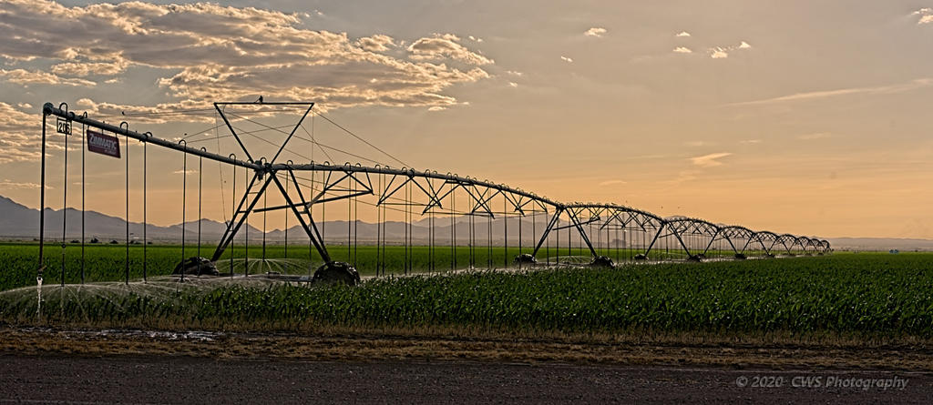 06-28-20-cr_7502573_HDR-ON1-crop.jpg