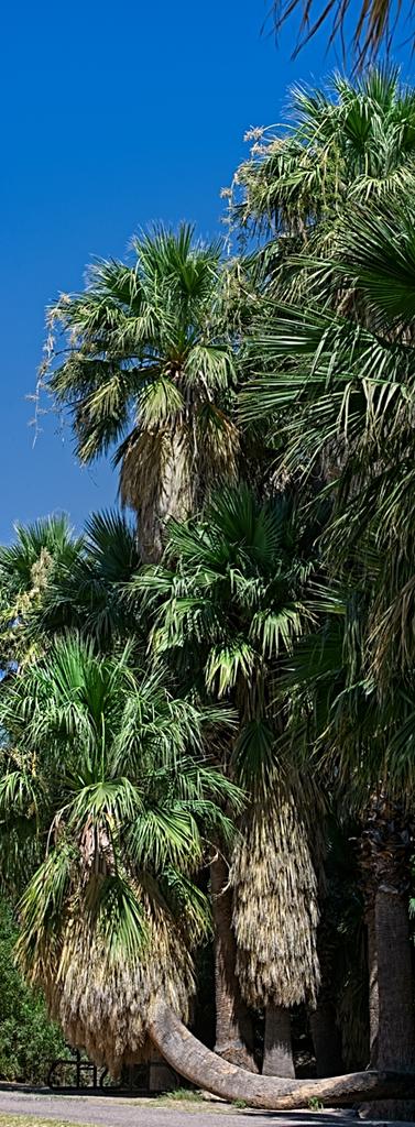 06-30-20-cr_D7K3275 Pano-ON1.jpg