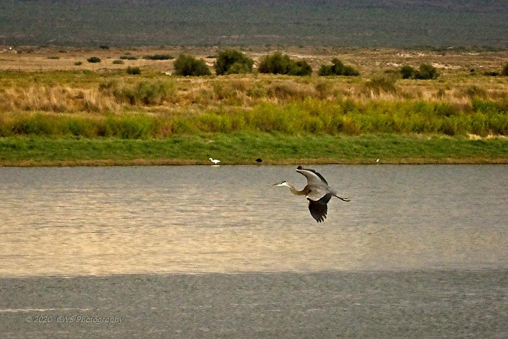 07-19-2020_cr_D7K3495-ON1.jpg