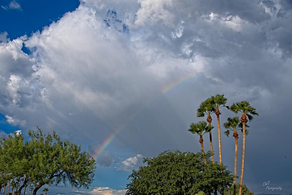 08-02-21-CR-_7505255_HDR-ON1.jpg