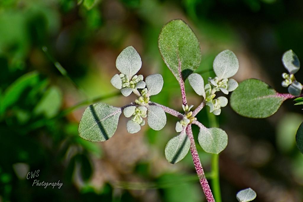 08-22-21-CR-_D501934-ON1.jpg