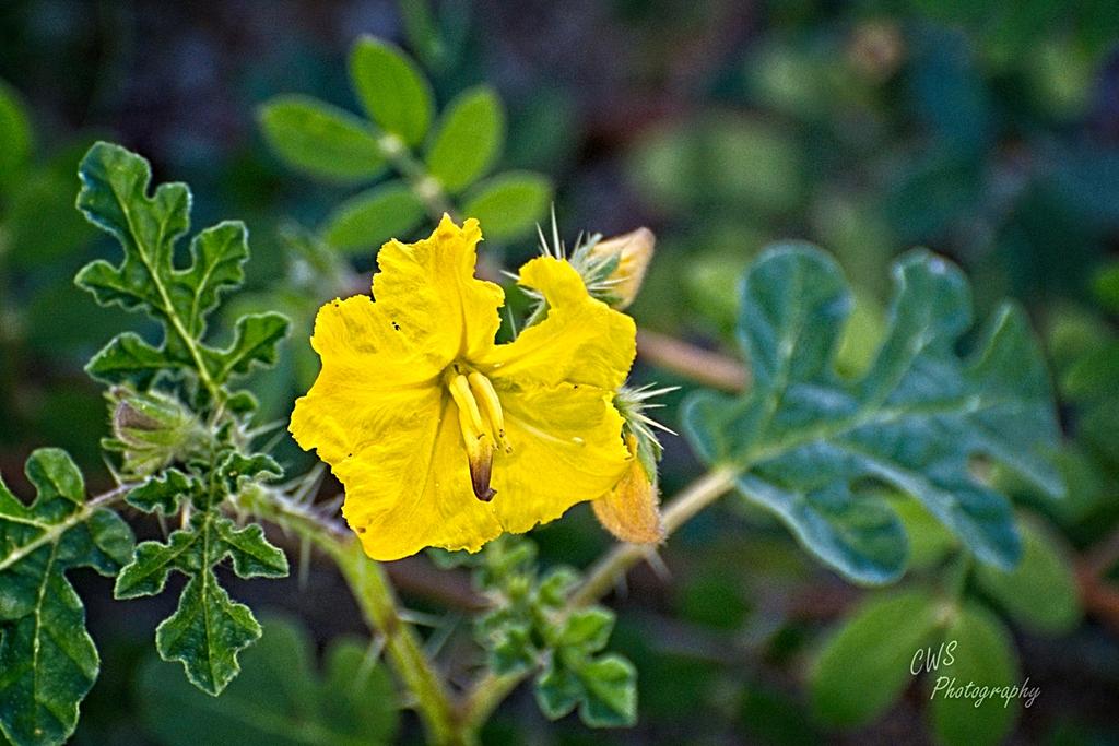 08-22-21-CR-_D501936-ON1.jpg