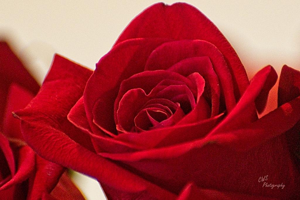 08-22-21-CR-_D501941-ON1.jpg